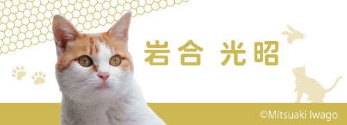 岩合光昭
