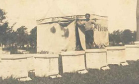 1931年、一群のミツバチと共に、クインビーガーデンの歴史が始まりました 
